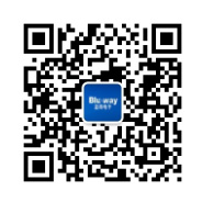 惠州市蓝微电子有限公司