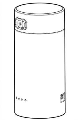 3S1P